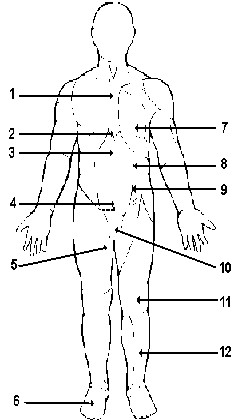 MMAA - KeupSoh - Vital Points - Stiking Points